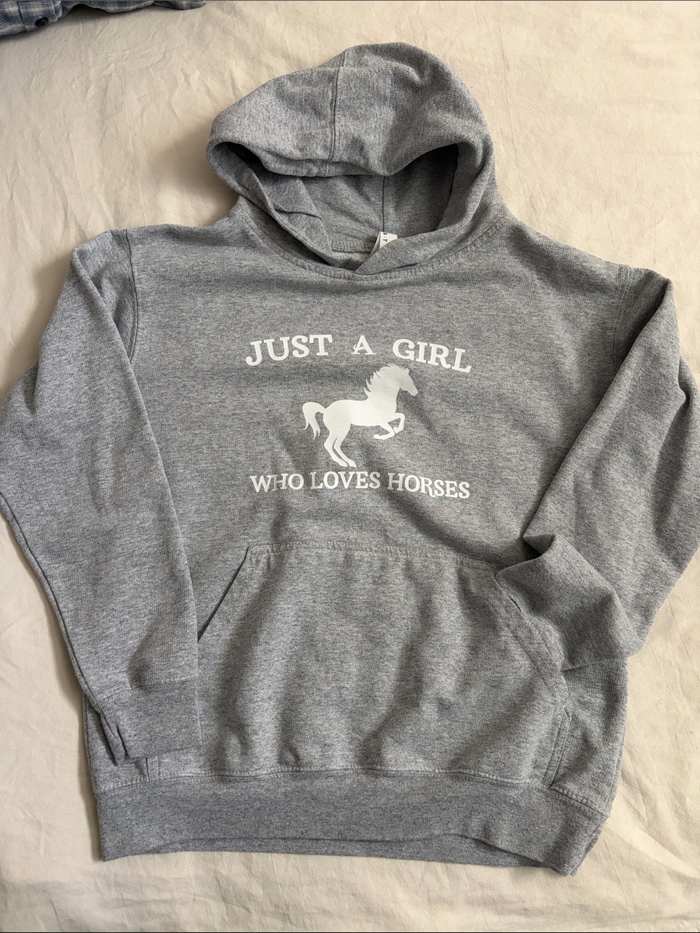 Gray 'Just a Girl Who Loves Horses' Hooded Sweater sz L youth